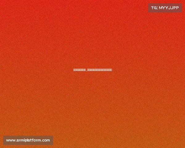 美国电子竞技文化_《北美之巅：当键盘敲响热血战歌》